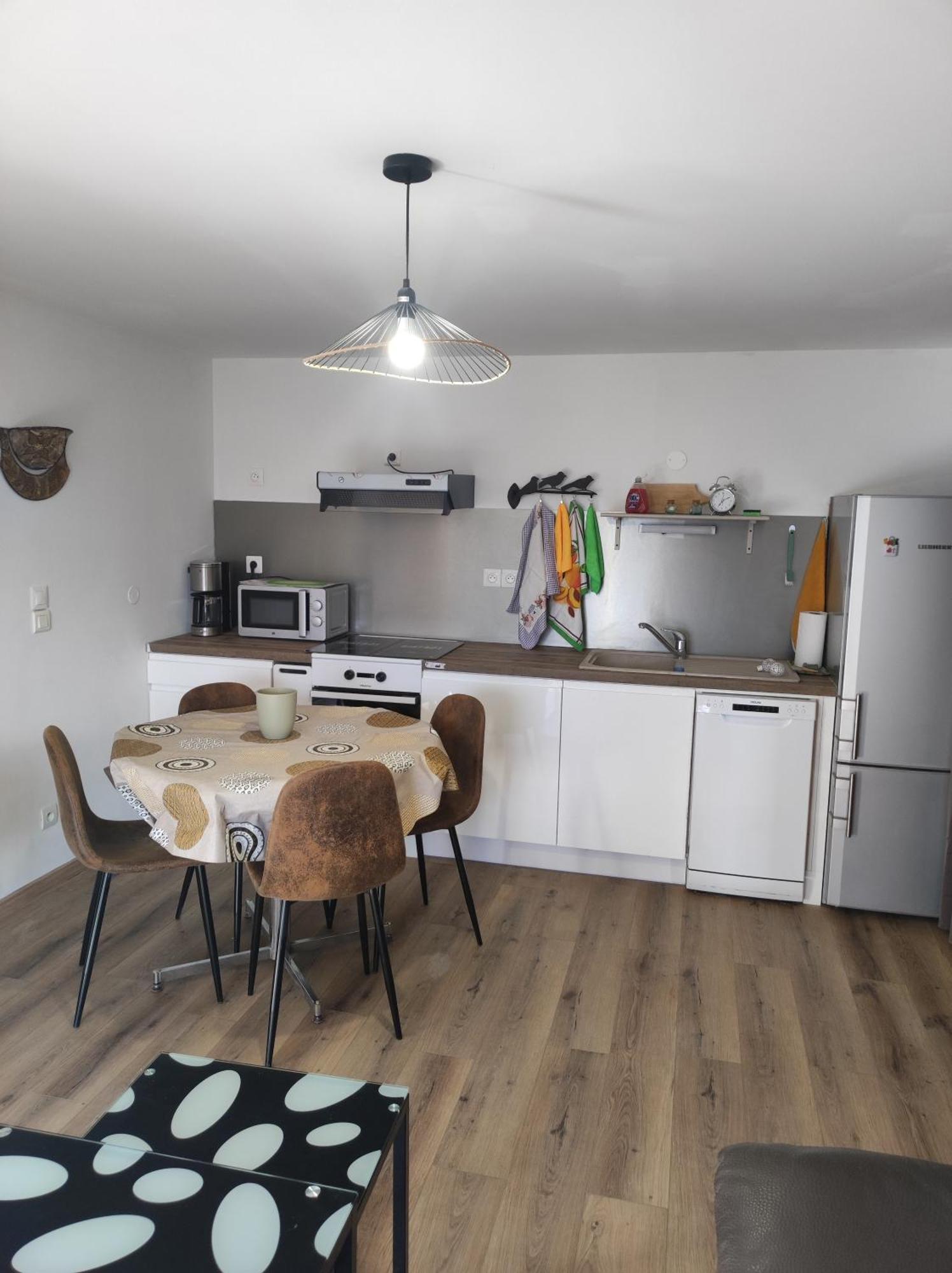 Appartement F2 Exterieur Lit King Size à Brives-Charensac Extérieur photo